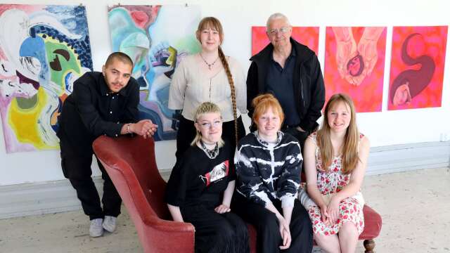 Några av konstnärerna som ställer ut i Rosa huset. Marcus Ylikotila, Leonora Pihl, Rainer Molnár, Emmeli Melin, Moa Malmström och Agnes Heyman.