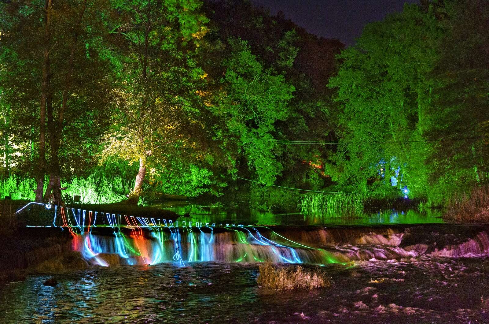 NLT Här är artisterna som kommer till Nossans ljusfestival