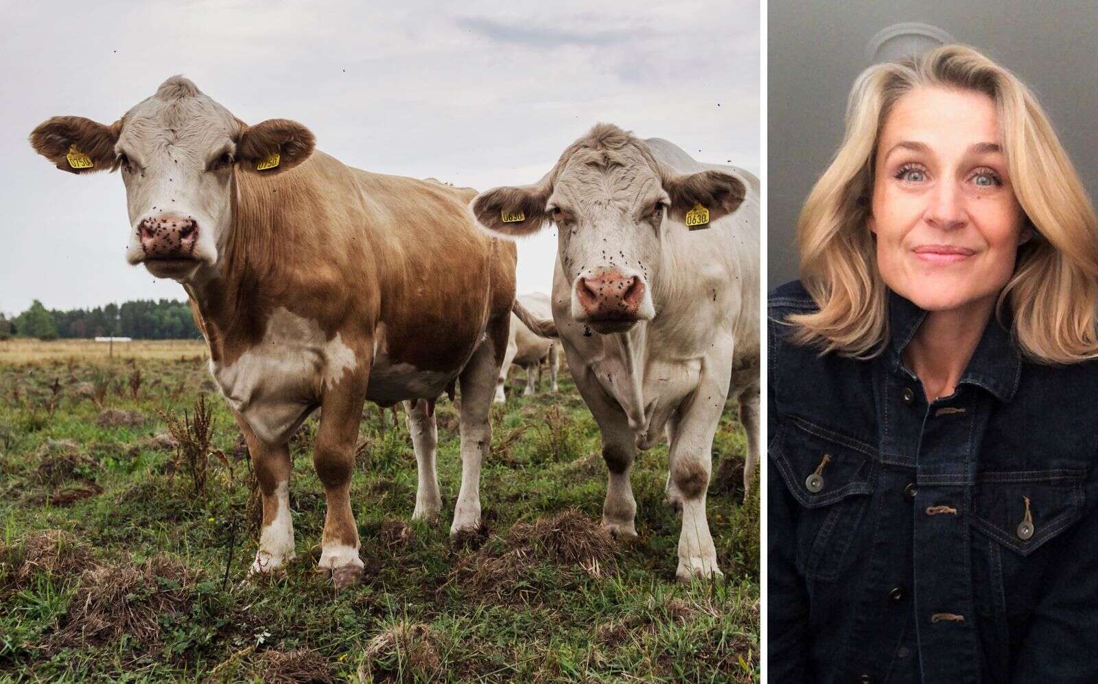 NWT ”Bonde söker fru” söker deltagare i Värmland ”Länge sedan vi