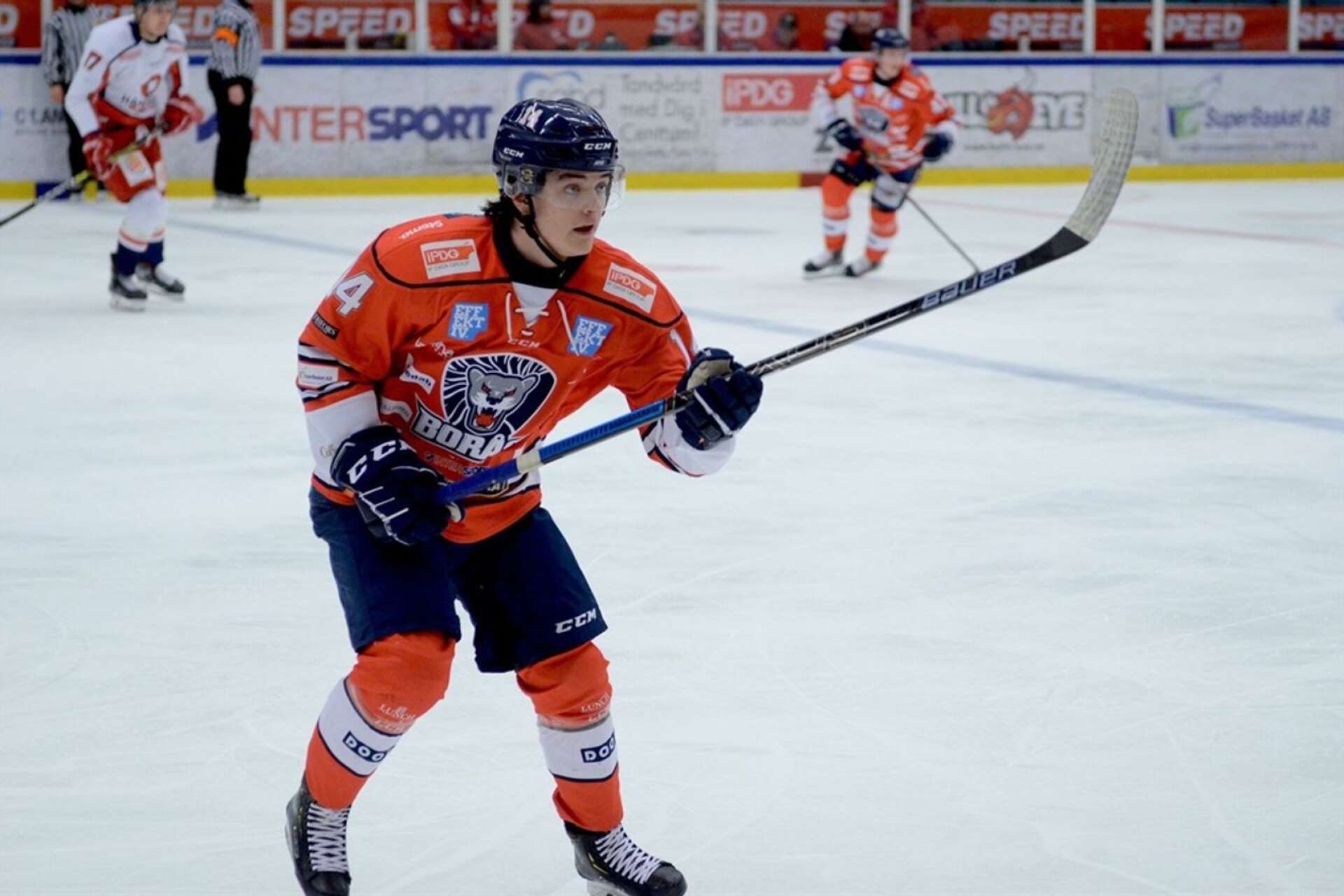 David Kozma, här i Borås HC:s tröja i Hockeyettan, blev under våren ungersk mästare i Ferencvárosi TC. Nu är forwarden klar för Åmåls SK i Hockeytvåan.