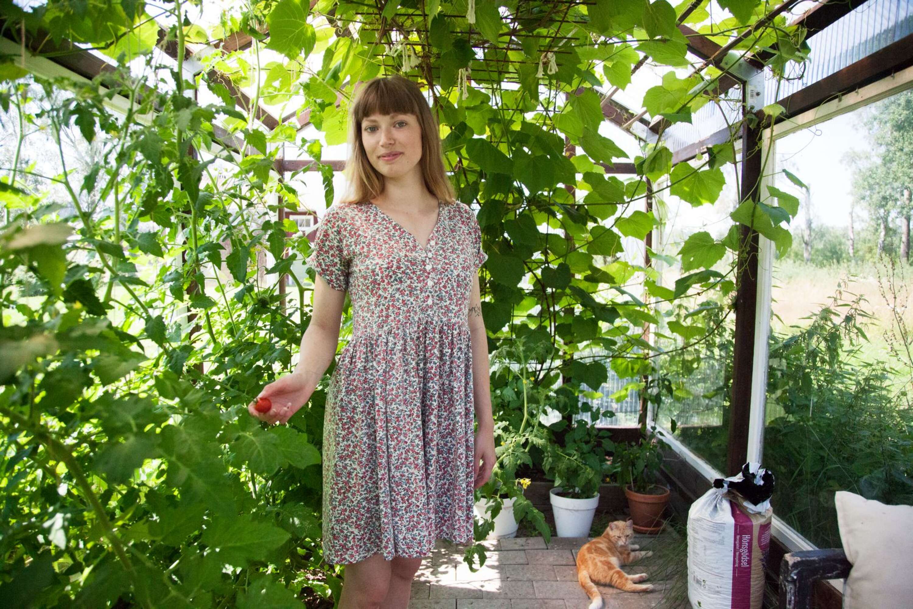 Inne i växthuset kan hon odla mycket som hjälper henne att vara självförsörjande. Just nu växer tomater därinne. 