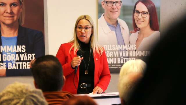 Regionstyrelsens ordförande Åsa Johansson (S) tror inte att regionskatten kommer att höjas nästa år. Arkivbild.