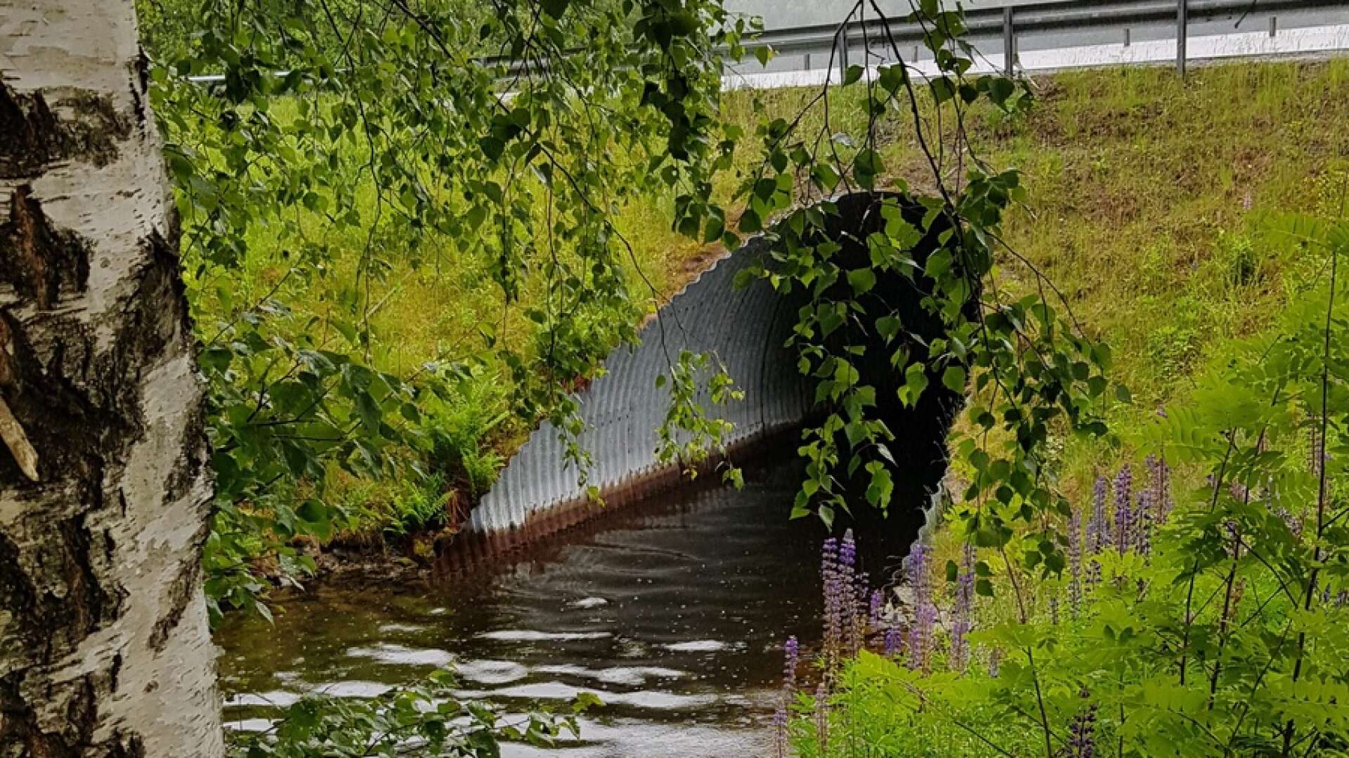 Rörbron över Greaströmmen är i dåligt skick.