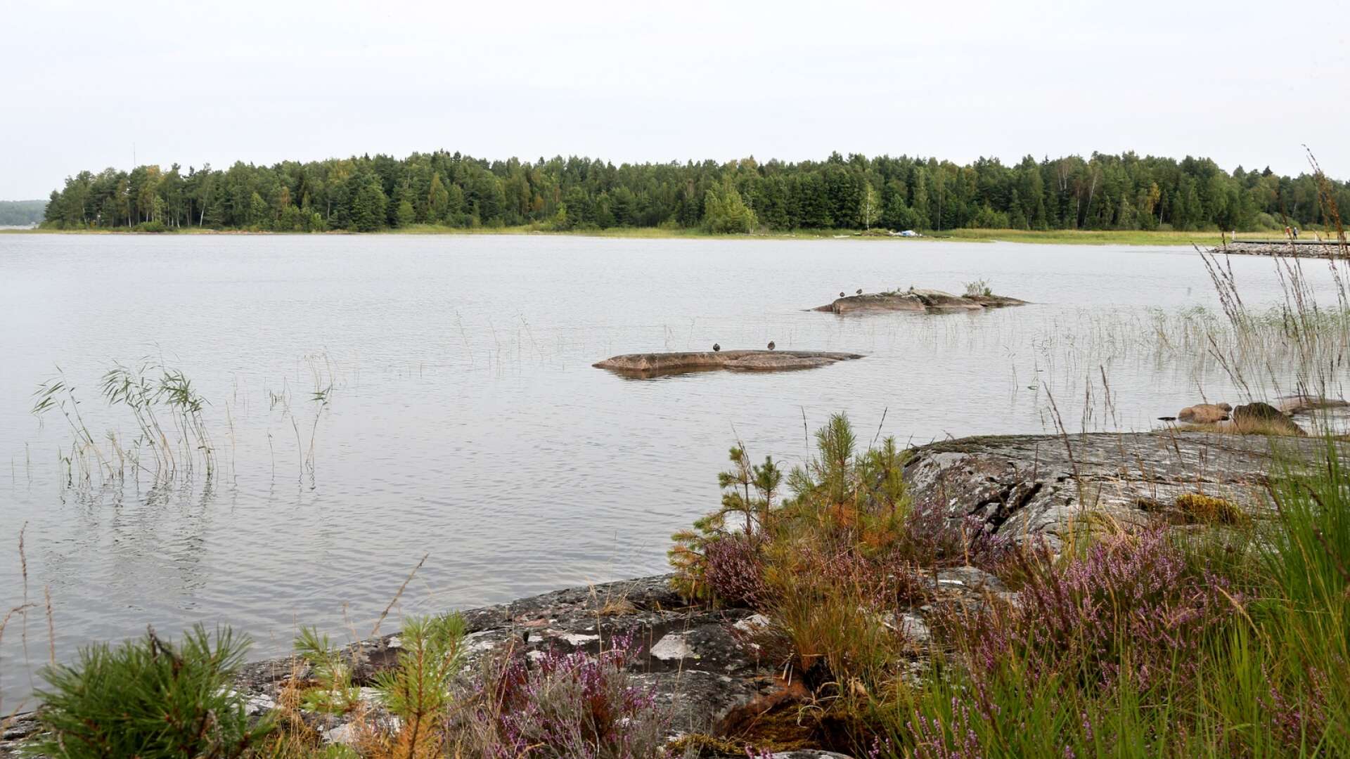 I mars sade regeringen nej till bostäder intill Vänern på Katrineberg i utkanten av Karlstad. Nu flyttar kommunen den nya stadsdelen längre bortifrån vattnet.