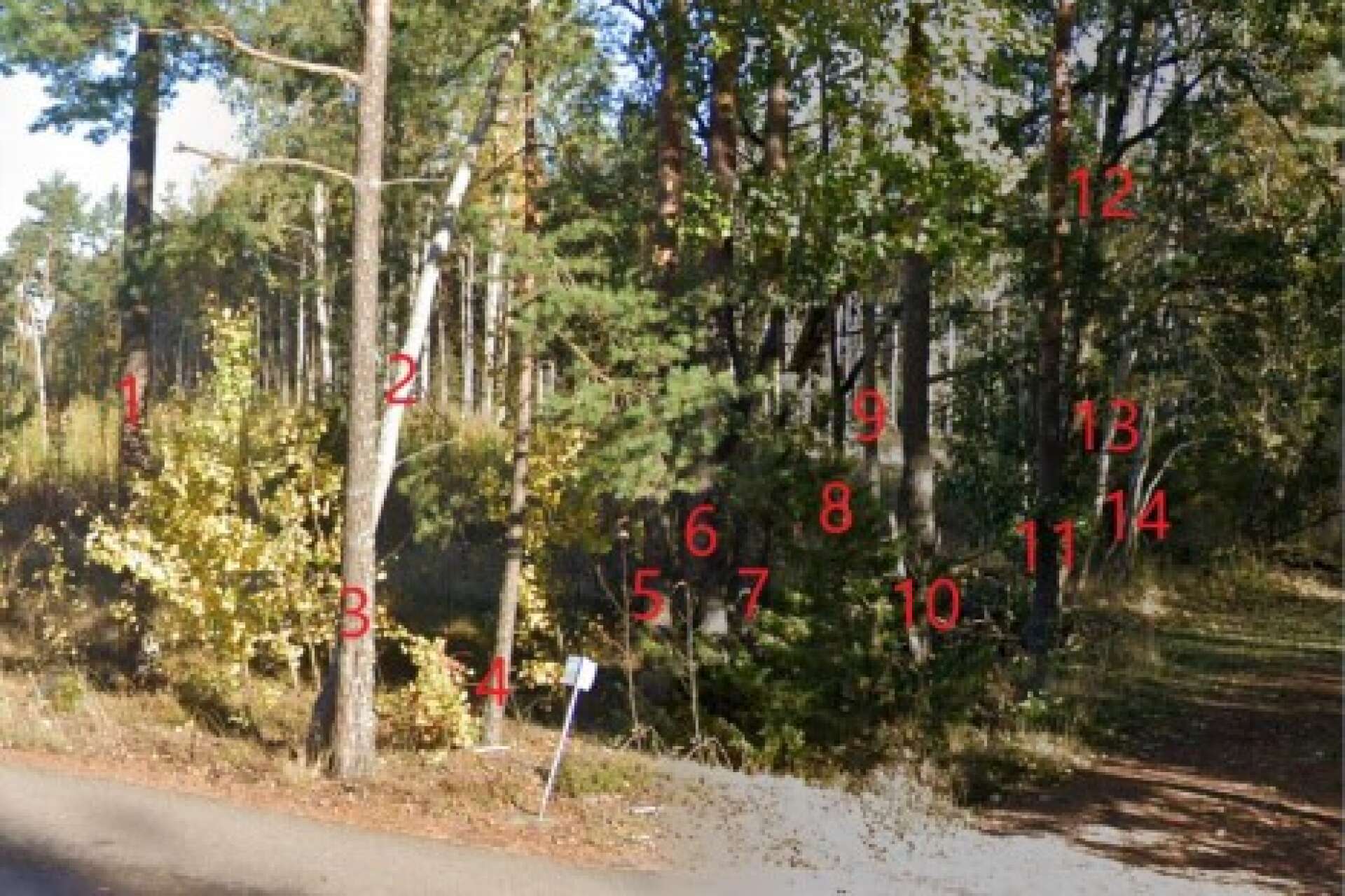 På bilden som finns med i ärendeluntan har Hammarö kommun markerat vilka träd som avverkats, och de begär man nu drygt 1,1 miljoner kronor för.