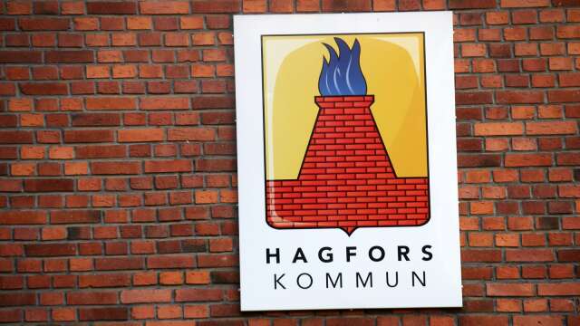 Skadegörelsen i centrala Hagfors har ökat. 
