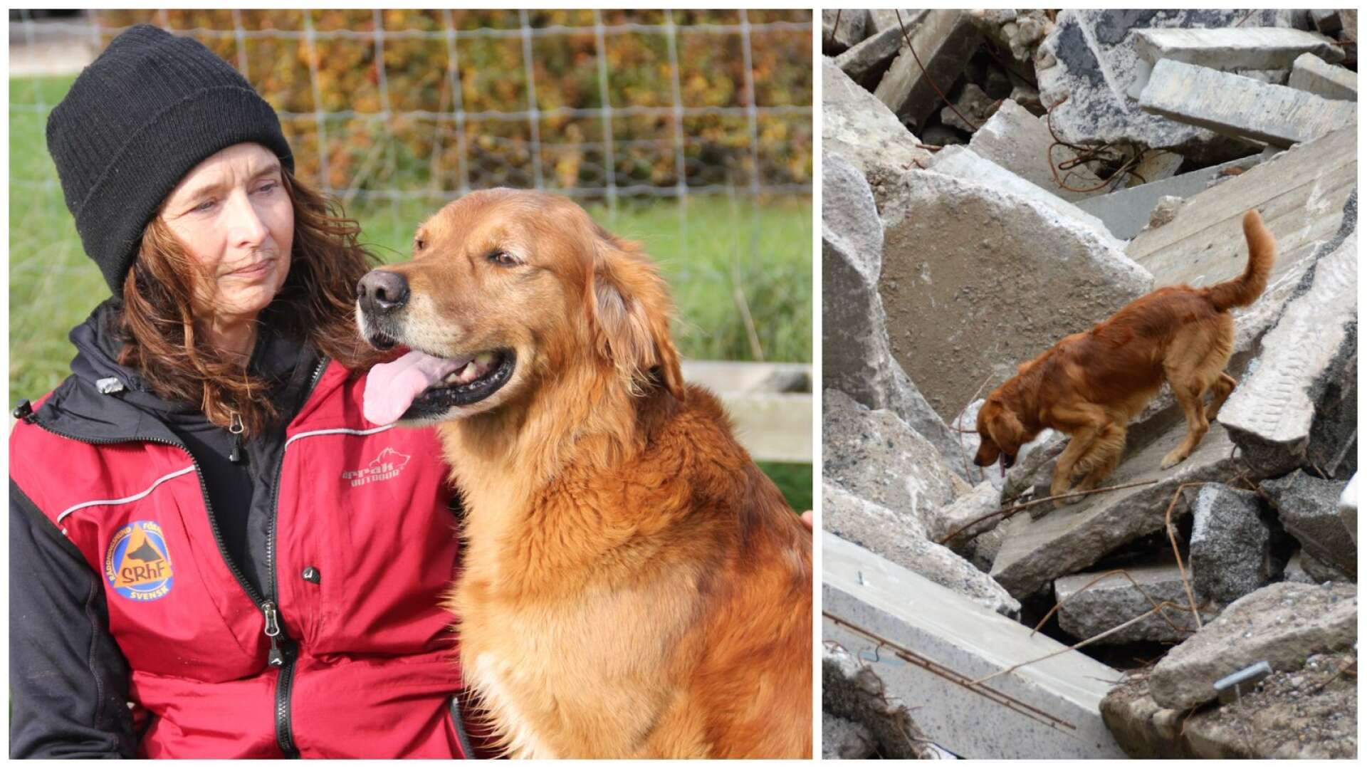 Maria Axelsson och hunden Ture ska tävla i VM för räddningshundar. I början av november bär det av med husbil till Rumänien tillsammans med de svenska lagkamraterna.