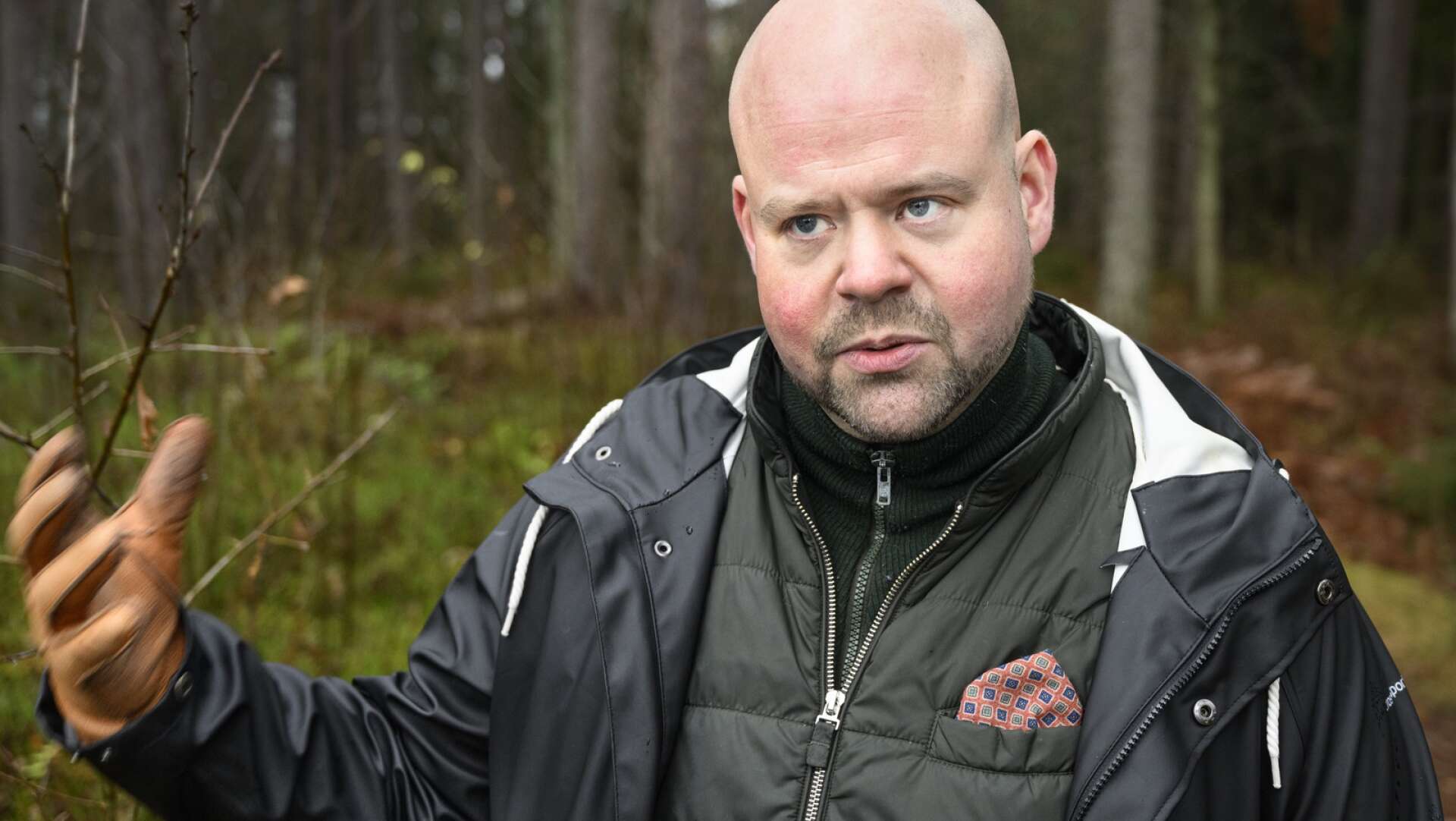 Peter Kullgren vill värna det svenska skogsbruket i EU.
