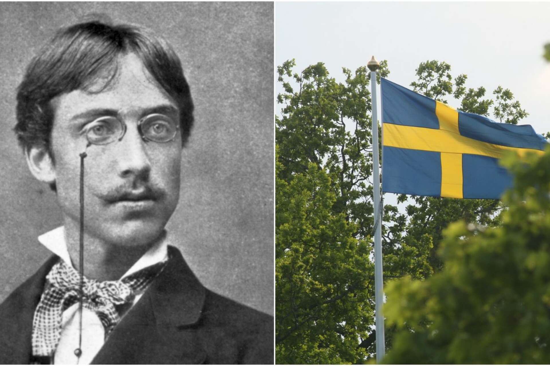 Går Björn Samuelssons e-förslag igenom kommer kommunen att hissa flaggan för Gustaf Fröding på alla kommunens flaggstänger den 22 augusti varje år.