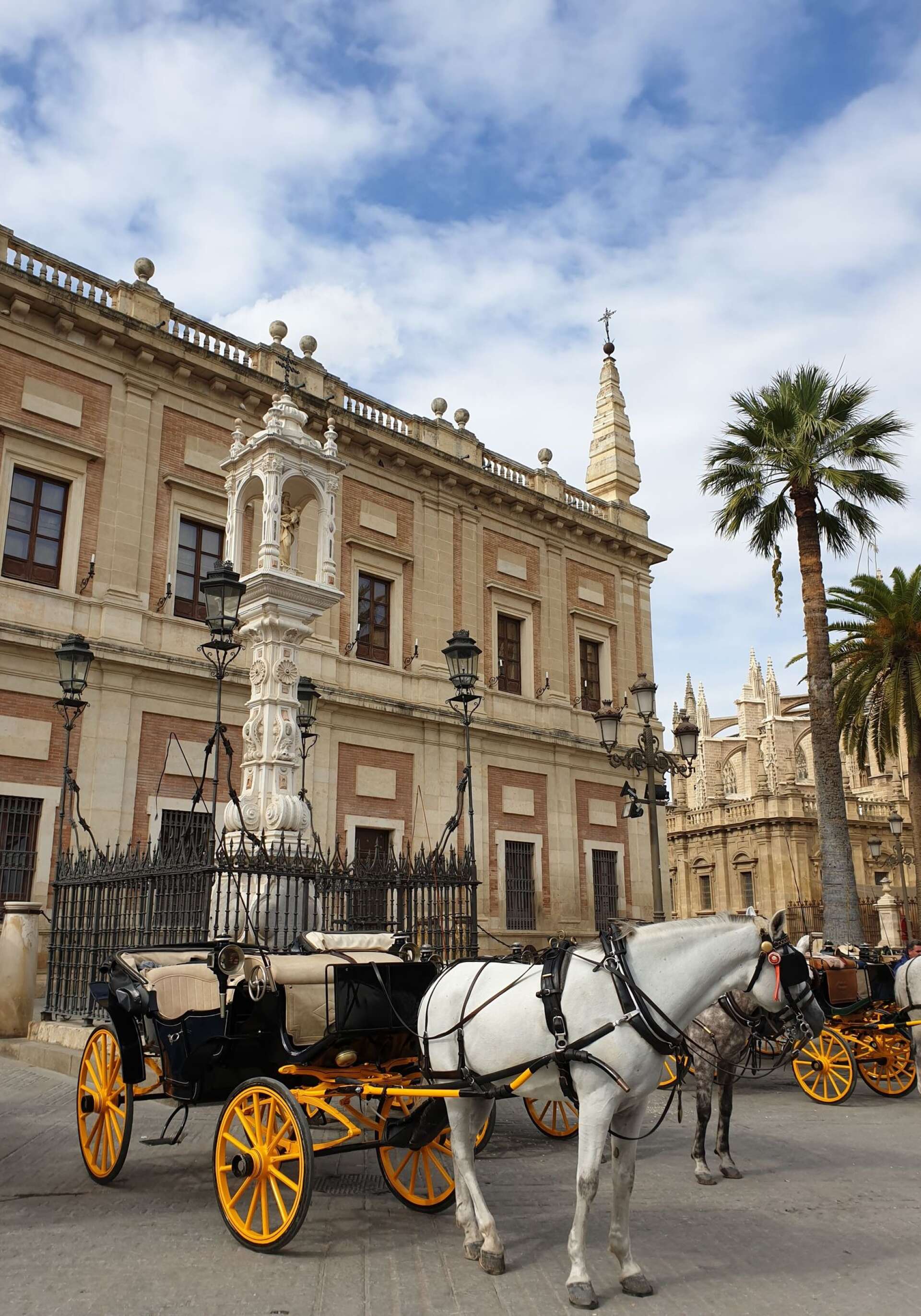 Hästar och palmer i Sevilla, det var på väg dit som Felicia Johansson kände sig som mest ensam.
