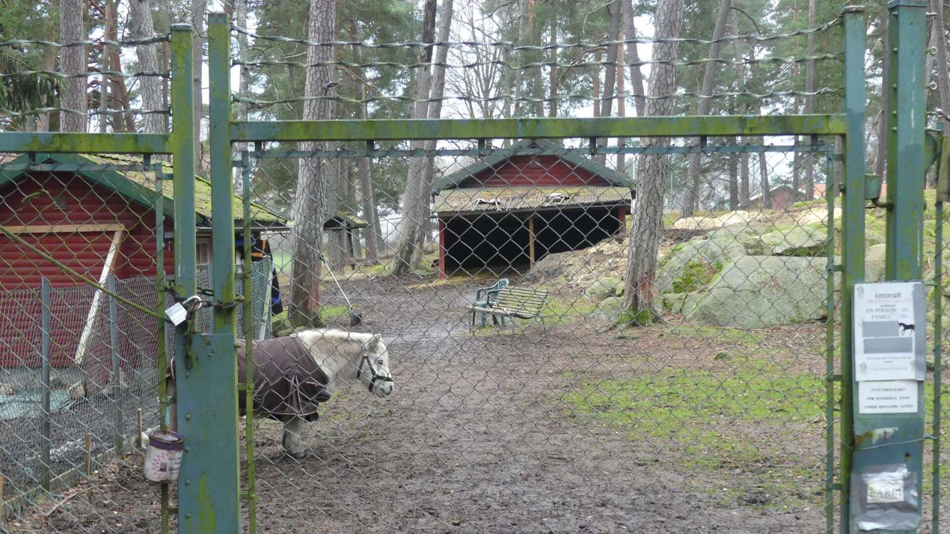Åmåls djurpark kan tvingas att stänga.