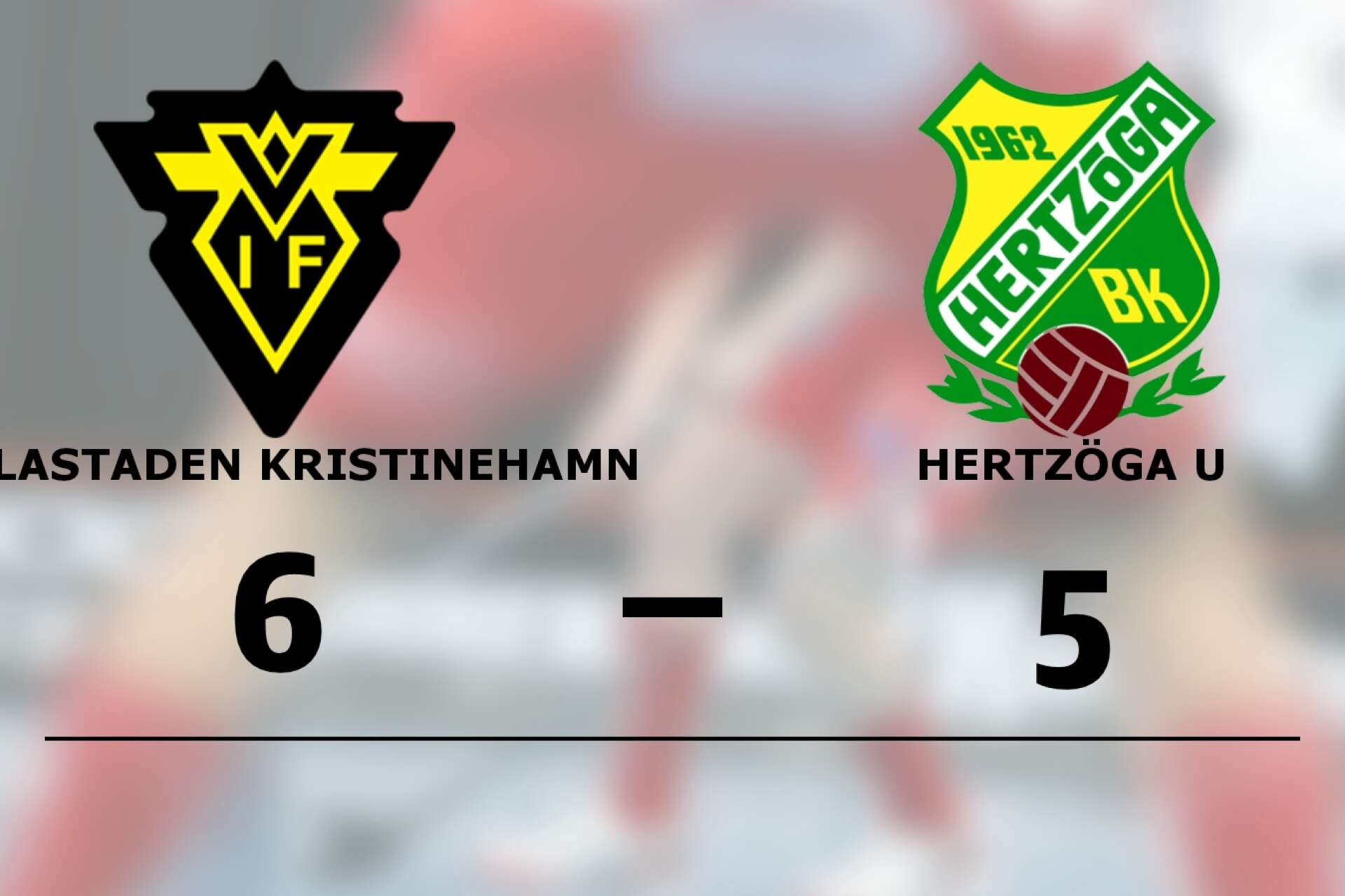 Villastaden Kristinehamns IF IBF vann mot Hertzöga BK