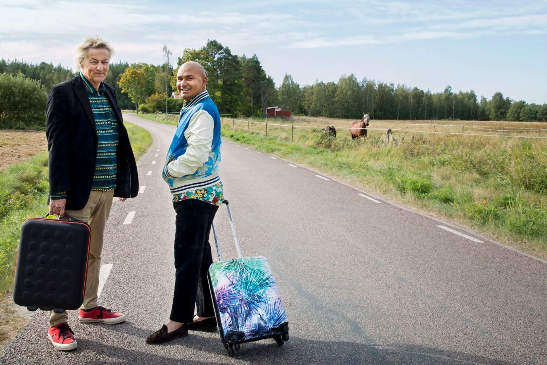 Lars Lerin och maken Junior tar med åtta vänner på en resa genom Sverige. 