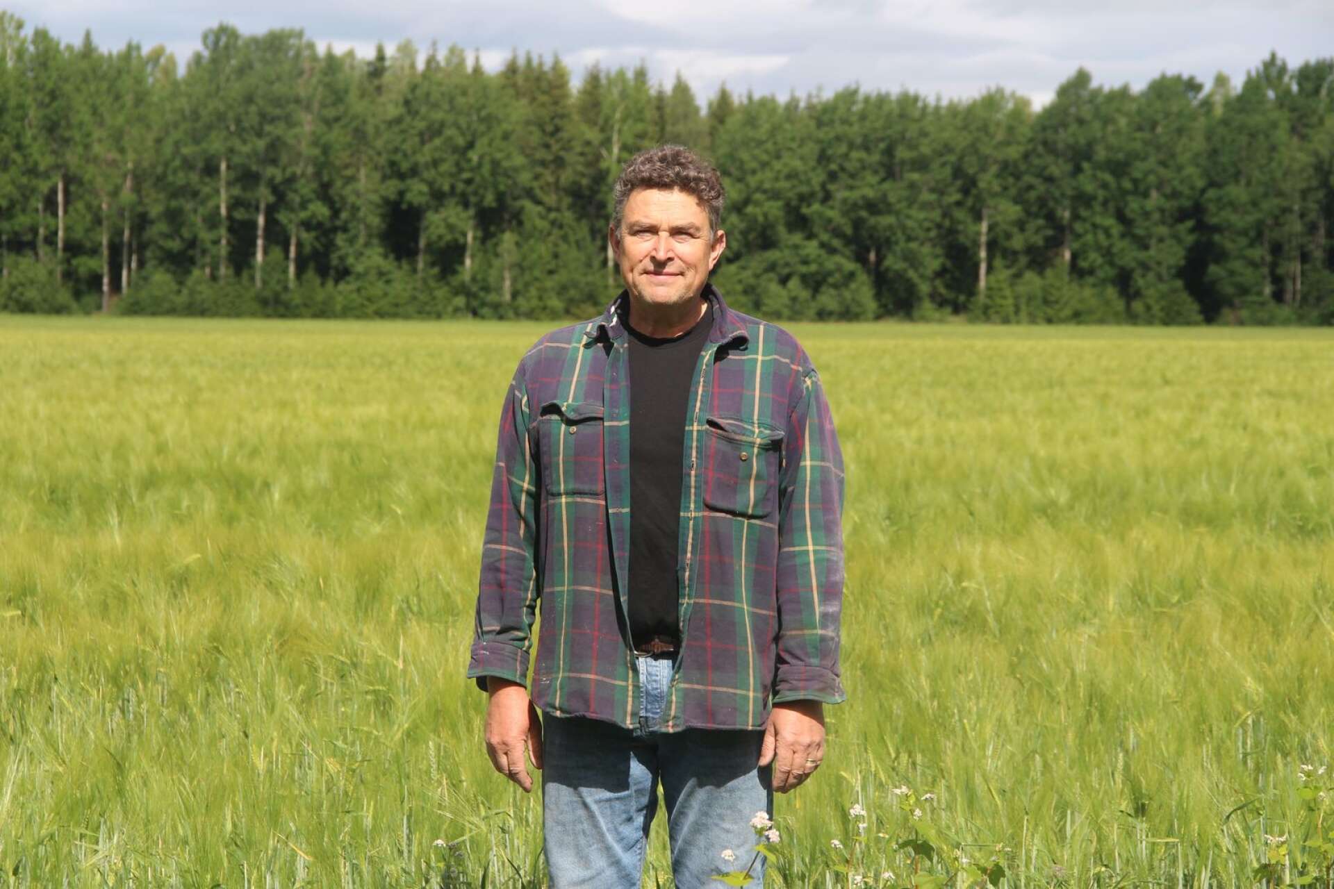 Lantbrukaren Christian Hidén tappade tjugo procent av sin ärtskörd på grund av torka. För andra odlare var det regn som ställde till det.