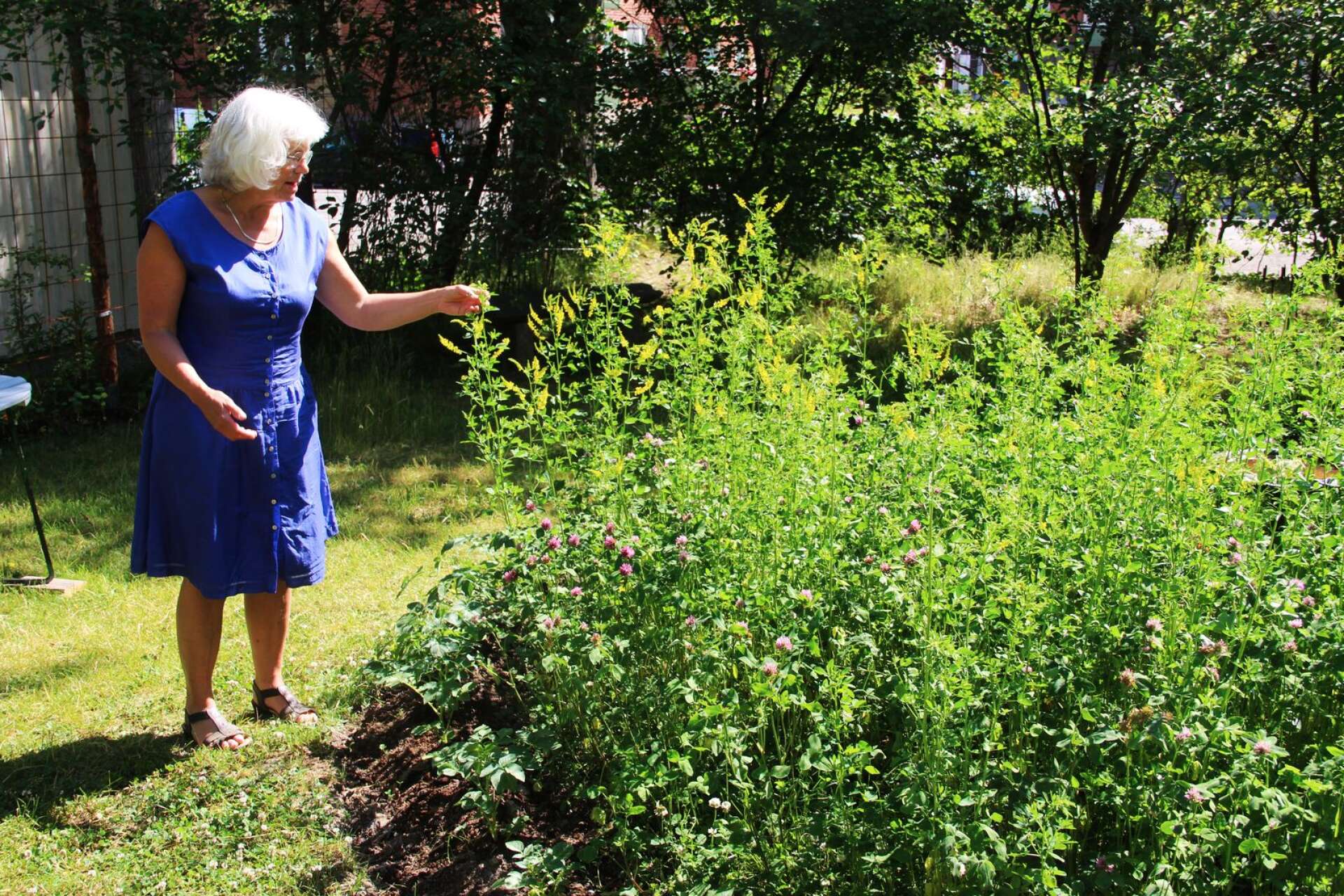 Rundeln med ängsblommor som Käthy gjort på deras trädgård hoppas hon ska hjälpa många bin.