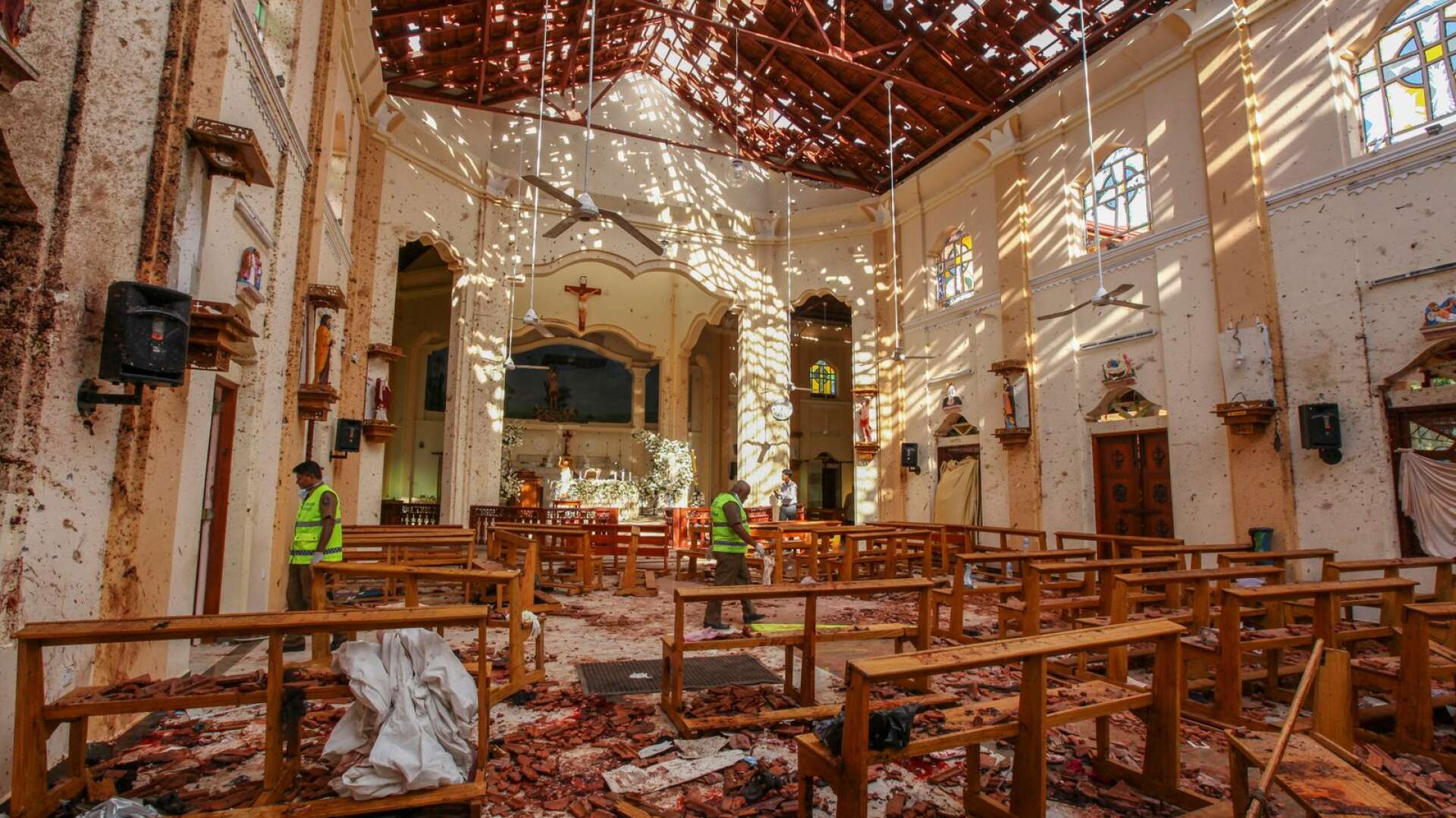 Attackerna i Sri Lanka utfördes av sju självmordsbombare, primärt från medel- och överklassen, skriver Byrån.