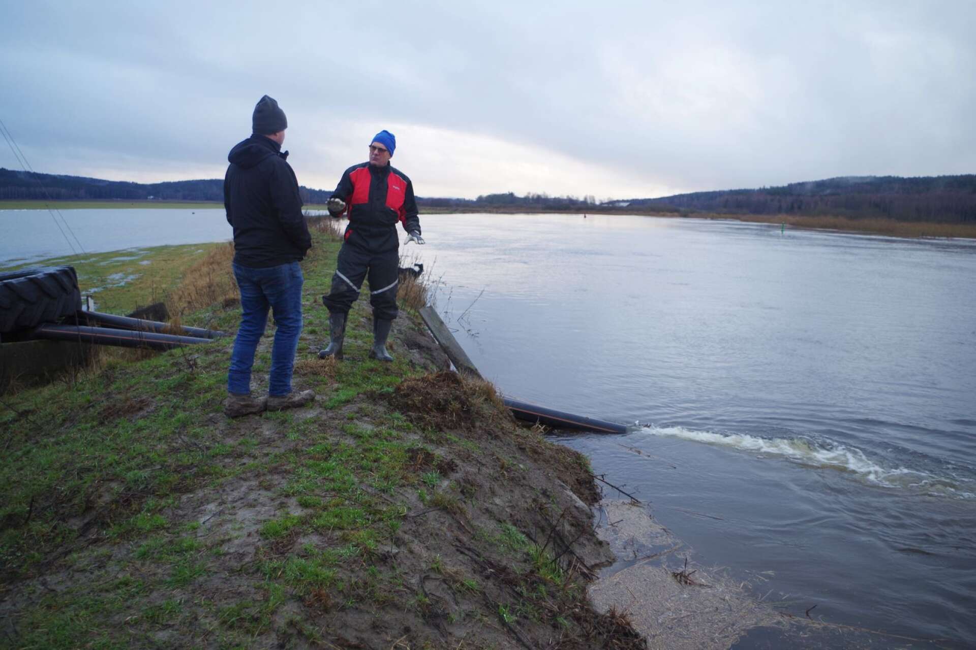 Översvämningsrisk hotar jordbruk längs Hökeströmmen och Byälven i Gillbergadalen. Två pumpar går för fullt för att återföra vatten till älven. Ola Axelsson och Arne Rosander är djupt bekymrade över det hotfulla läget.