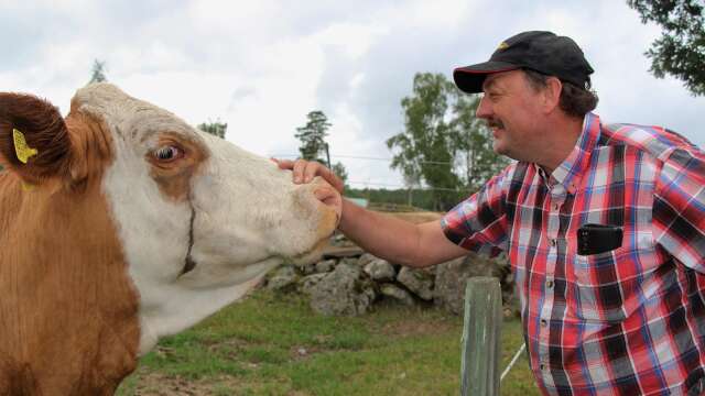 Kon Gumman kelar ofta och gärna med gårdsbonden Mikael Holmgren.