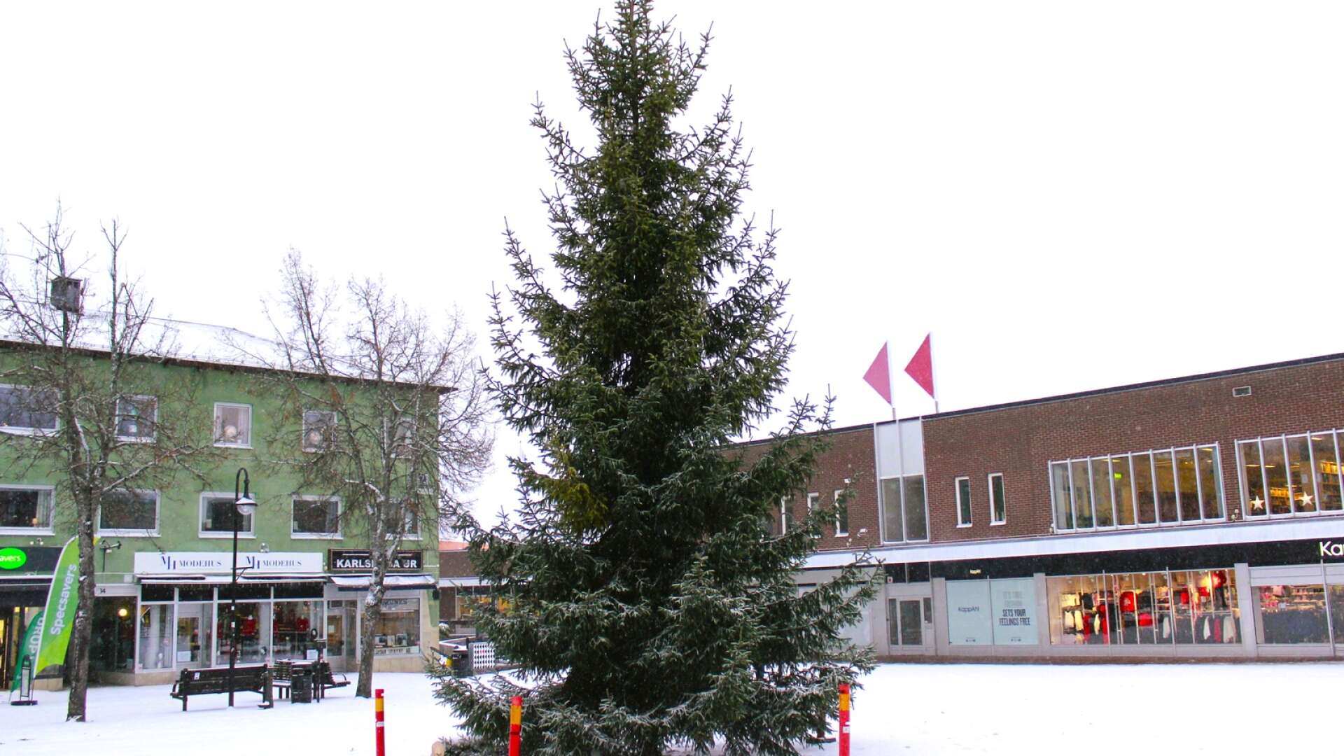 Under tisdagen så kom då årets julgran till Alfred Nobels torg.