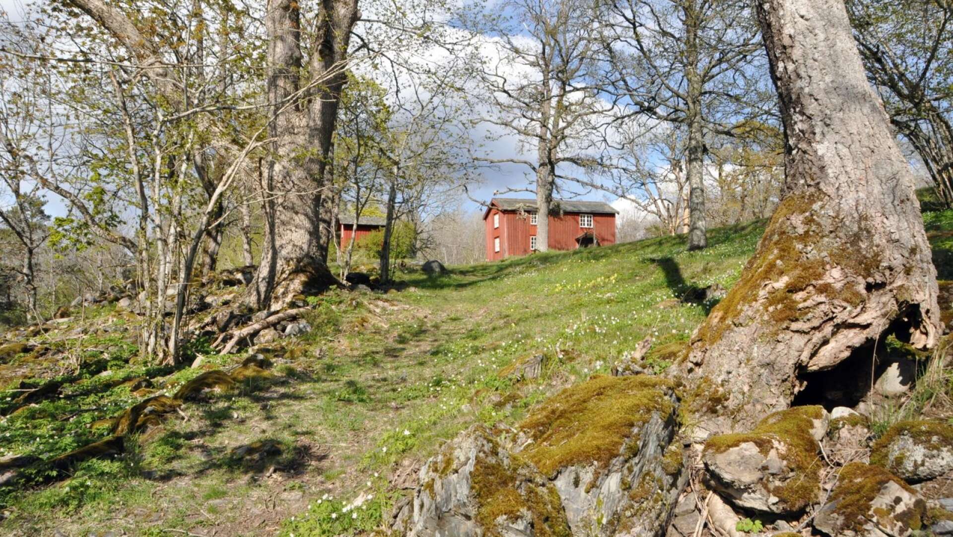 I området har det funnits jordbruk så långt tillbaka som till 1500-talet och idag ägs gården av familjen Waern.