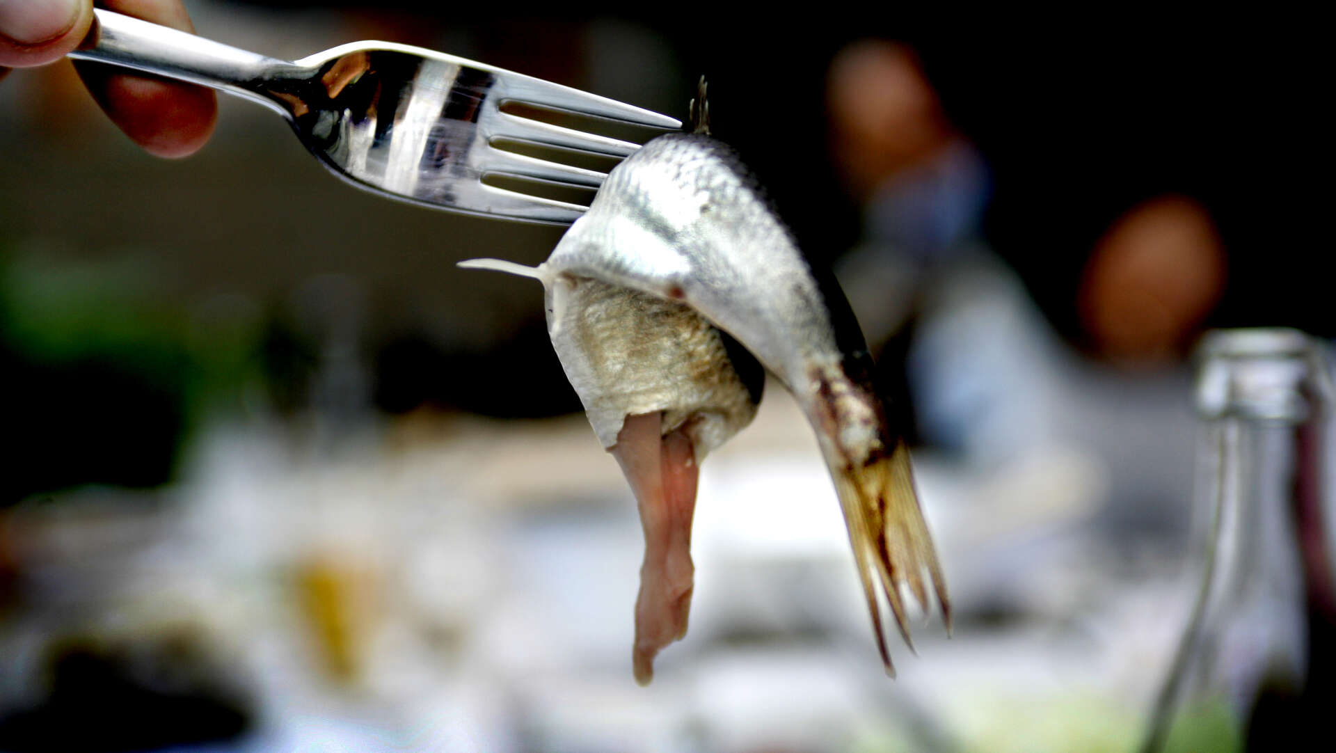 Surströmmingen älskas av inte få. Men fet Östersjöfisk bör inte ätas för ofta. Arkivbild.