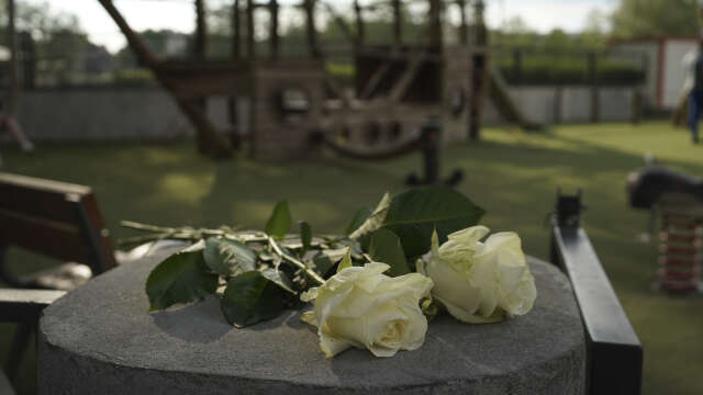 Vita rosor vid den lekplats i parken Les jardins de l’Europe i Annecy där dådet ägde rum.