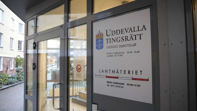Uddevalla tingsrätt beslutade på fredagseftermiddagen att häkta en man från södra Dalsland misstänkt för våldtäkt av barn.