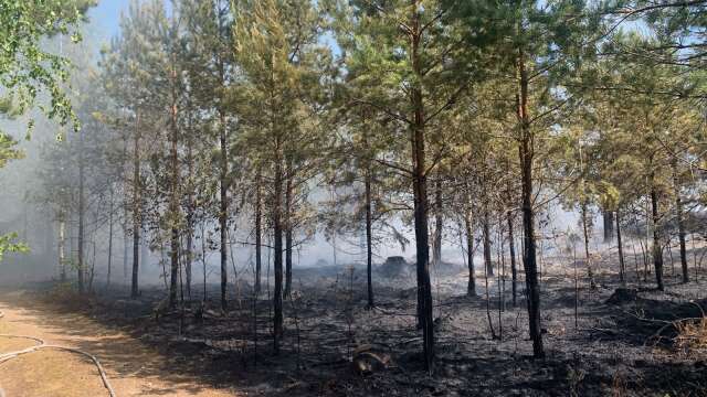 Flera räddningsenheter larmades till skogsbranden.