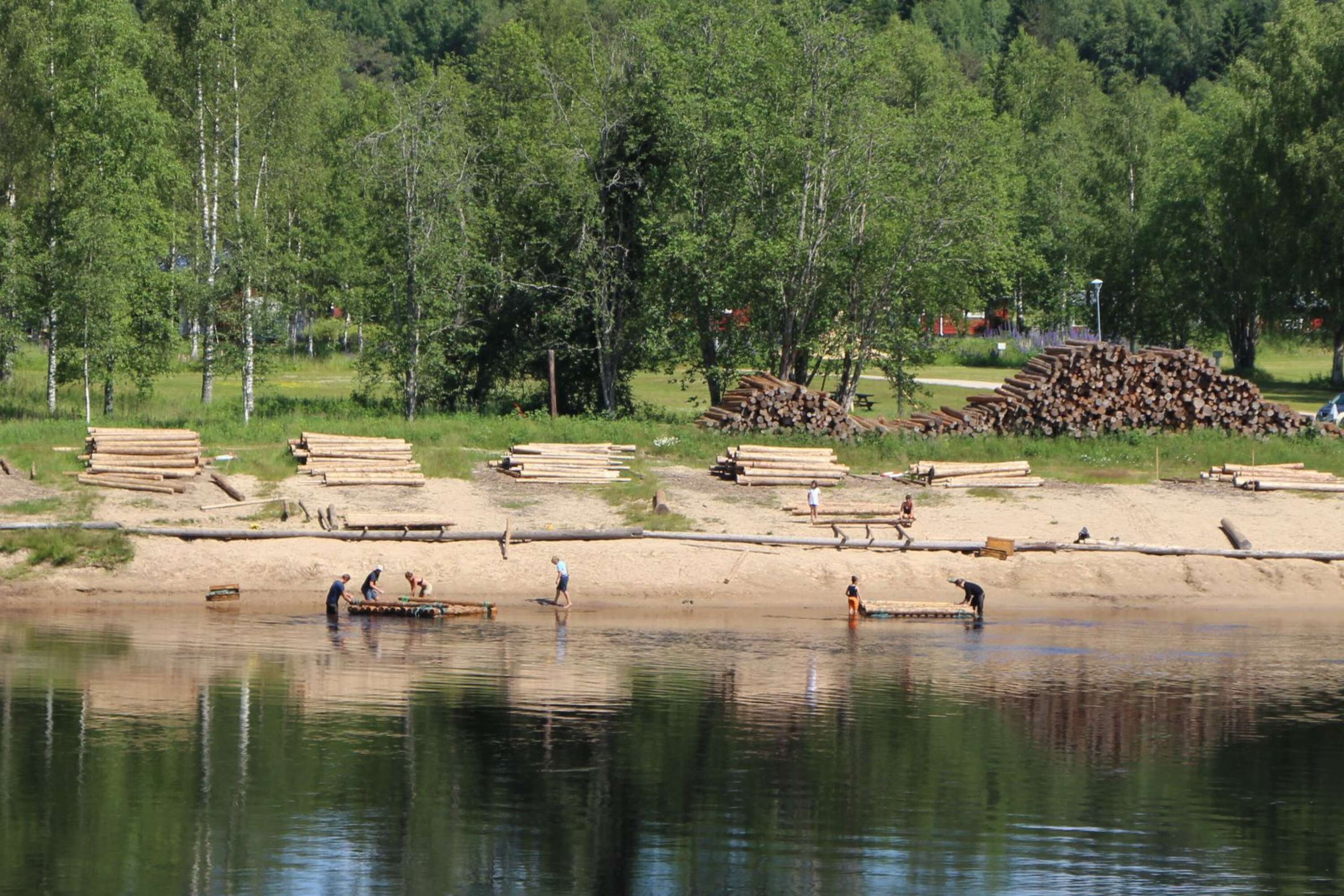 Vi Klarälvens camping i Värnäs byggs flottar av timmer.