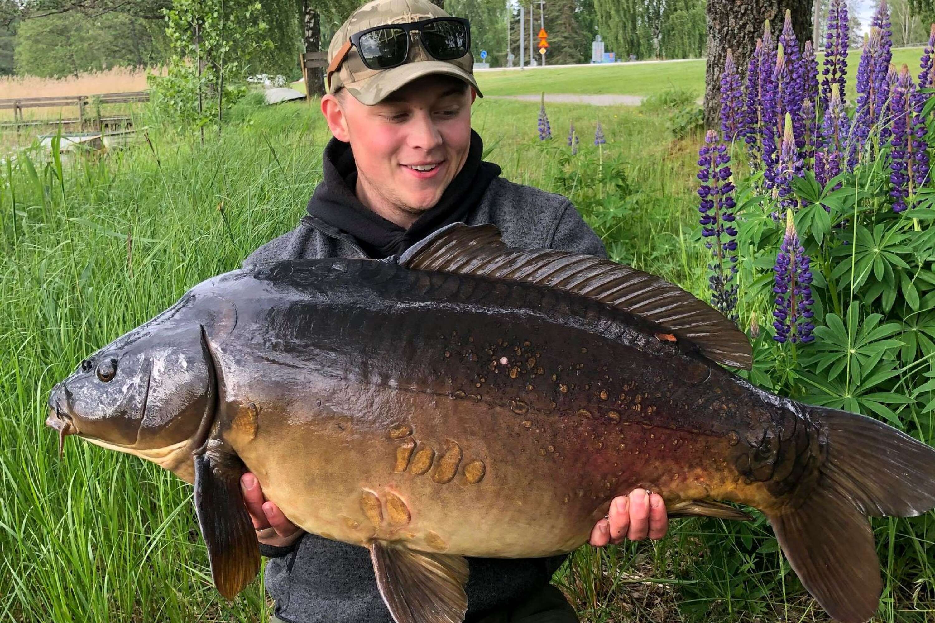 Den här 15,6 kilo tunga värmlandskarpen blev Christoffer Janssons största pjäs i den landsomfattande fisketävlingen.