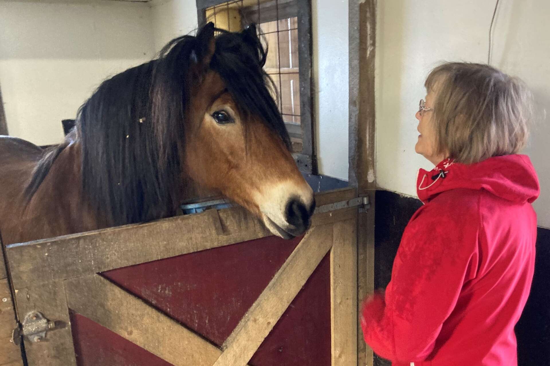  Även hästen Hector gillare att få besök.