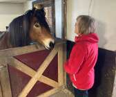  Även hästen Hector gillare att få besök.