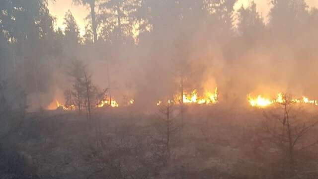 Räddningstjänsten fick på tisdag eftermiddag ännu ett larm om en skogsbrand i Svartå. Arkivbild från den tidigare branden.
