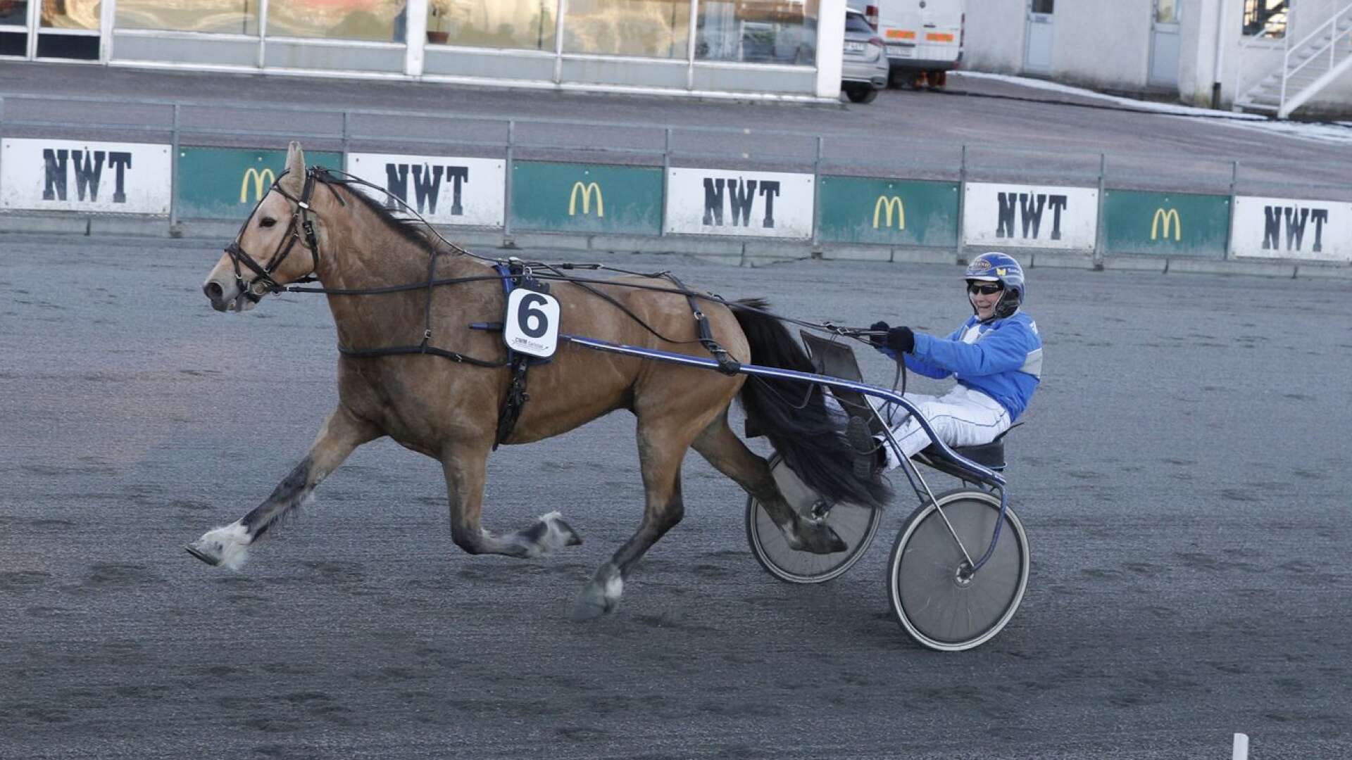 Svensk seger i kallblodslopp är ovanligt i Värmland men det fixade Lysjö Kasper med sin tränare Kristina Larsson.
