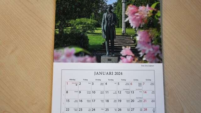 Så här ser januari ut i almanackan som Rottneros parks vänner tagit fram.