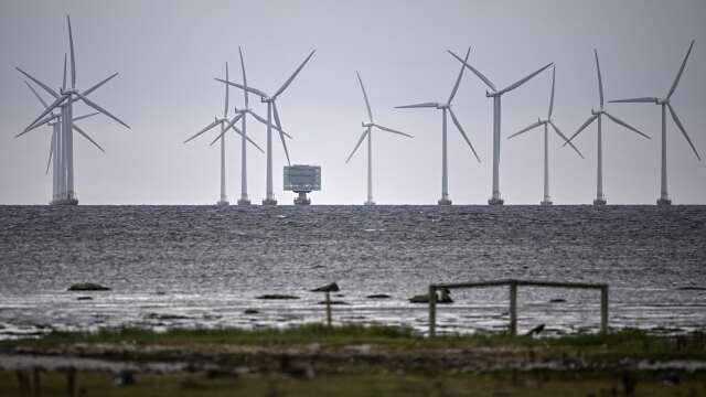 Havsbaserad vindkraft i Öresund.