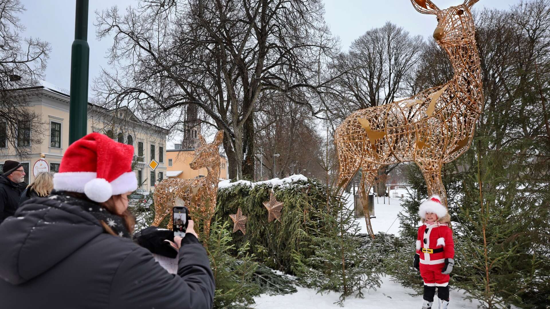 En liten jultomte vid namn Molly Hellemar passade på att hänga med på julresan i Lidköping, där sex olika hållplatser finns att beskåda med sin sagolika belysning. Ett mycket populärt inslag när julen invigdes i Lidköping under lördagen. 