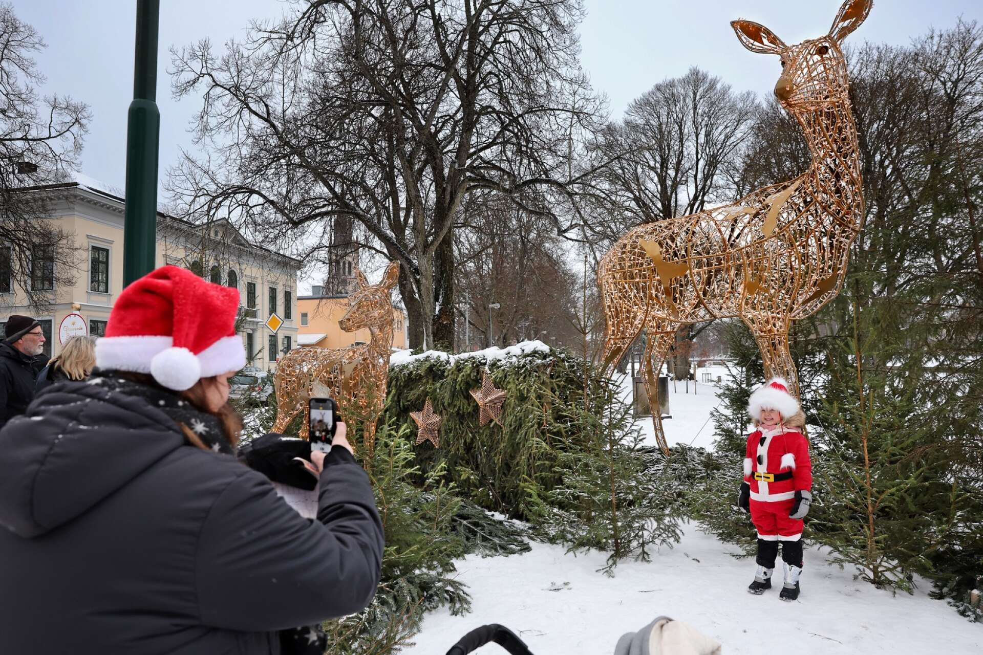 En liten jultomte vid namn Molly Hellemar passade på att hänga med på julresan i Lidköping, där sex olika hållplatser finns att beskåda med sin sagolika belysning. Ett mycket populärt inslag när julen invigdes i Lidköping under lördagen. 