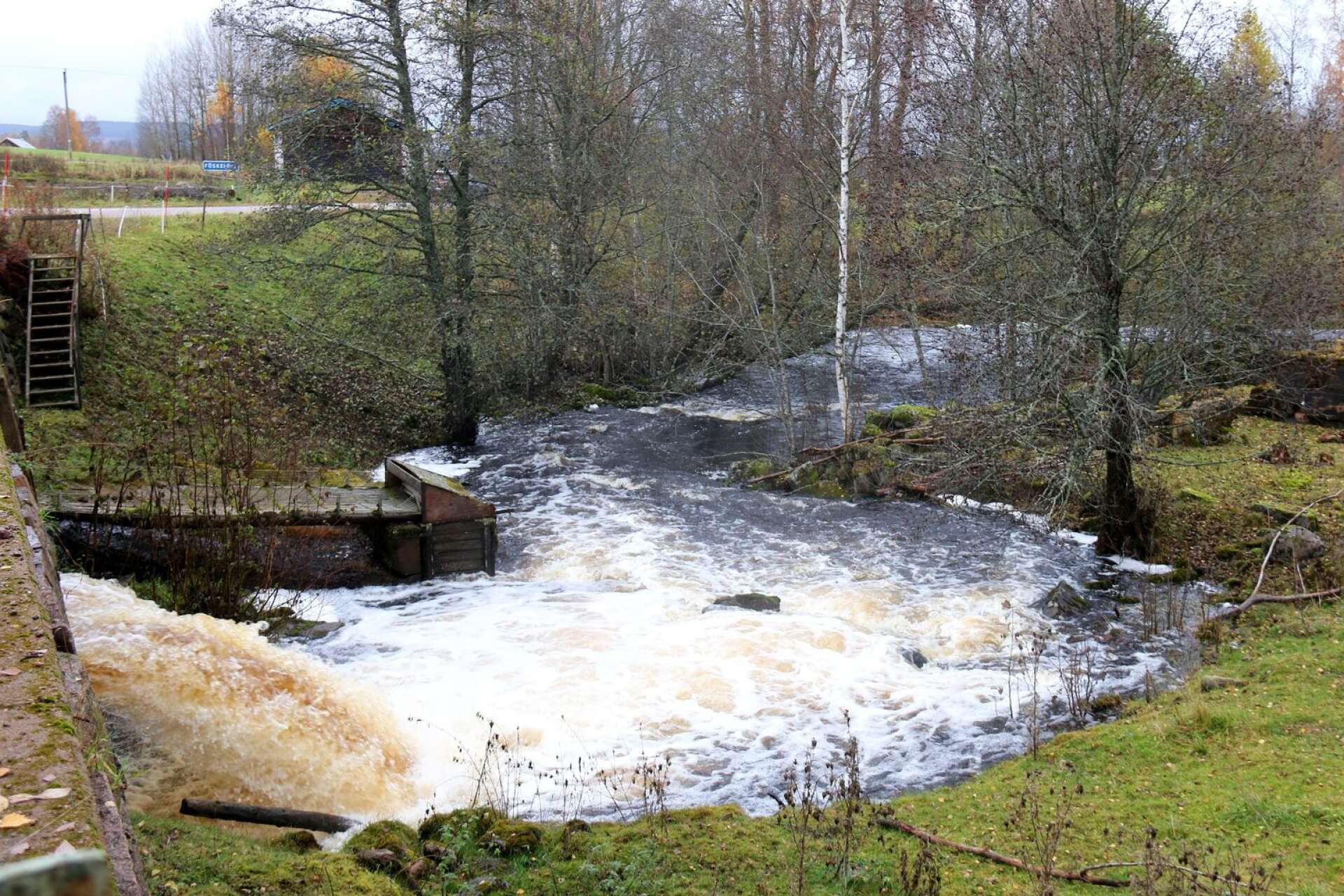 Fortum har nu formellt ansökt om att få riva dammarna i Görsjön. Bilden från den gamla dammen i Föskeforsälven i Grängen.