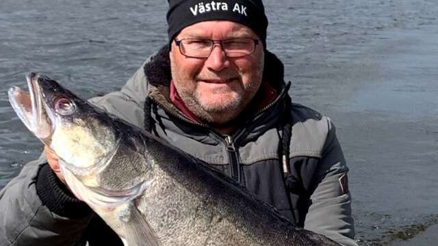 Karlskogafiskaren Jan Östlund öppnade gössäsongen med ett praktfullt exemplar på dryga 6,3 kilo