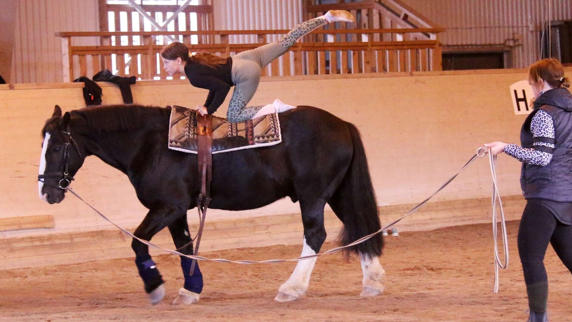 Voltige handlar om att göra akrobatiska övningar på hästryggen, förstås i ett tätt samarbete med hästen.
