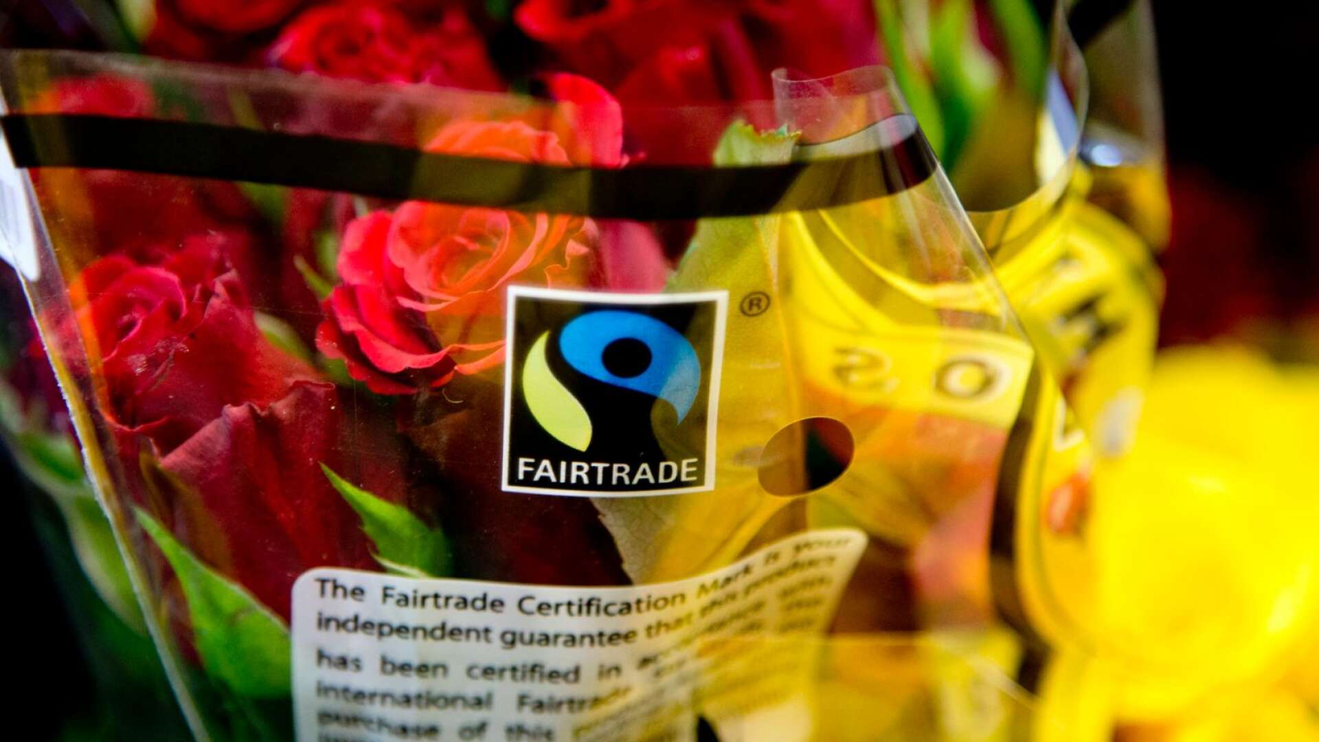 Använd oberoende tredjepartscertifieringar som Fairtrade och TCO Certified för att ställa relevanta hållbarhetskrav och få kvalitet i uppföljningen, skriver Annica Sundin, Lisa Persson och Malva Rosenfeld.