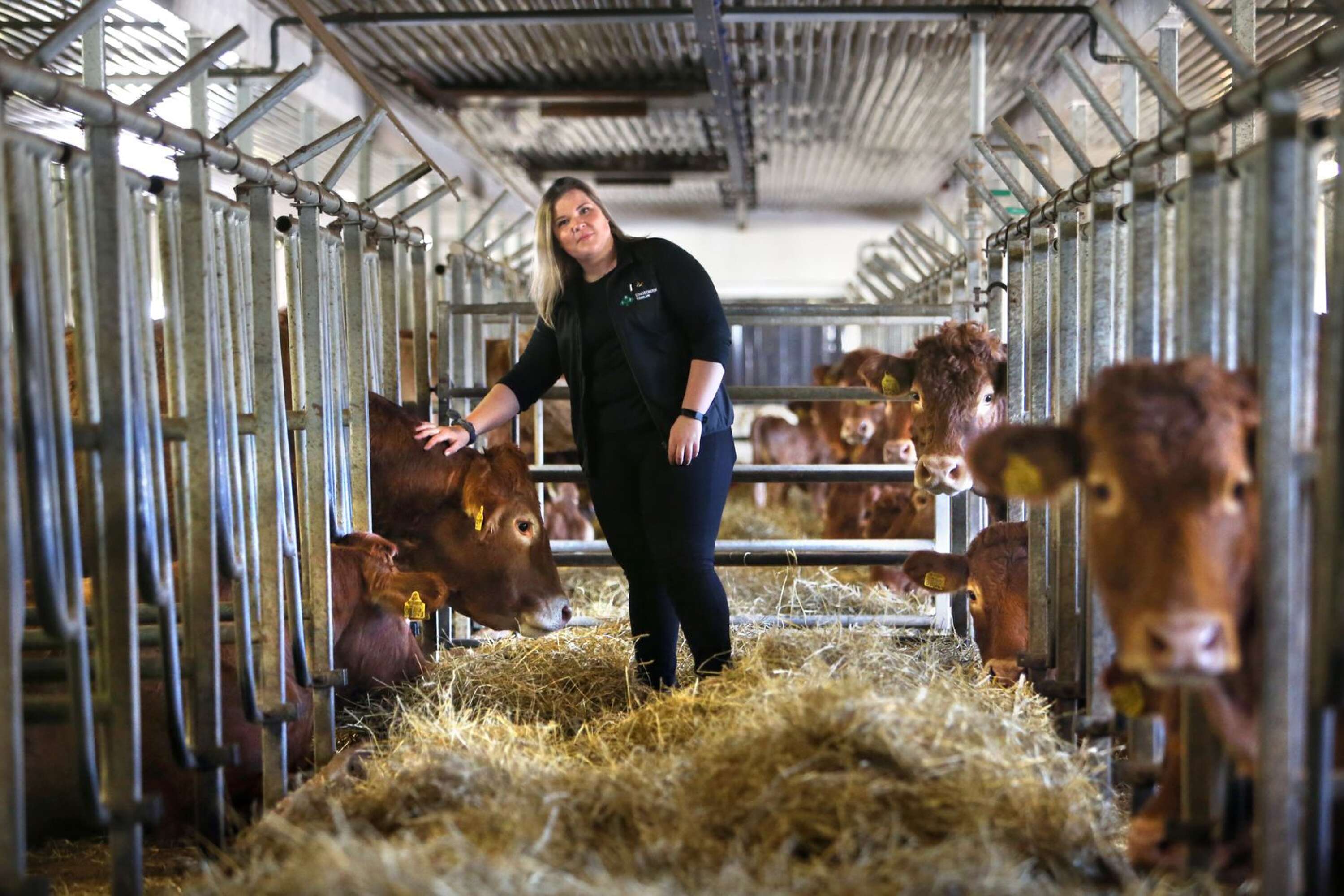 ”Att jobba inom lantbruk är en livsstil. Det är inte många som orkar bli väckta en lördagsnatt för att ens kossa springer ute”, säger Jonna Didriksson.