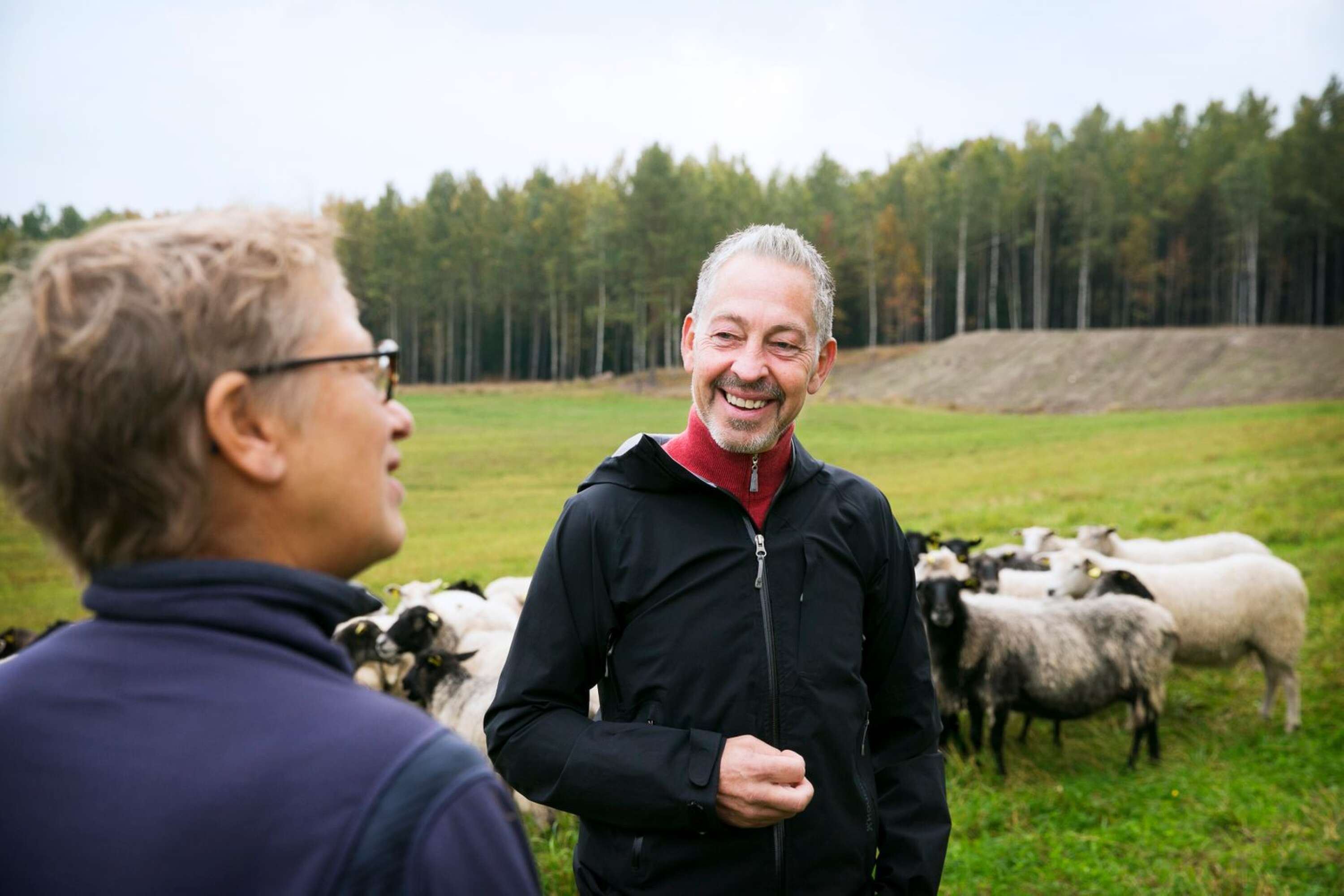 Efter sitt förra besök hos Lindås lamm ställde riksdagsmannen Lars Mejern Larsson (S) en fråga till landsbygdsministern för att se om hon var beredd att se över systemet för lammuppfödning för att underlätta för småbönder.