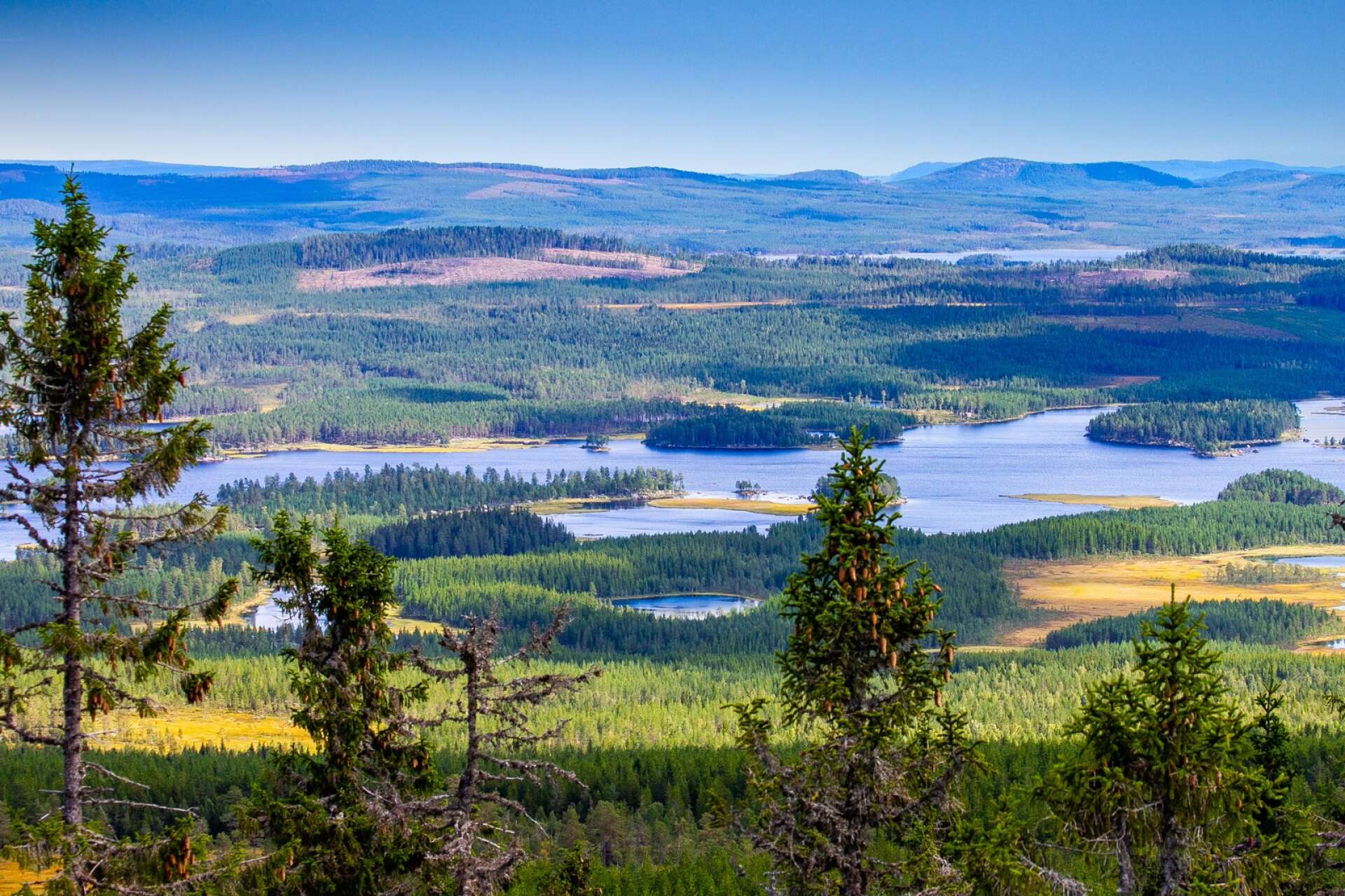 Utsikt över Granberget i norra Värmland. 