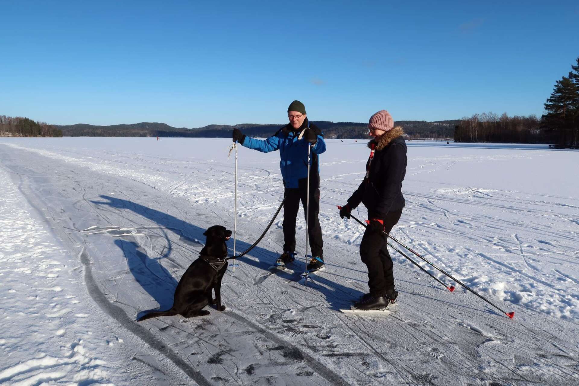 Hunden Ross drog runt med Olli Ketola och Rosita Olsson och verkade njuta lika mycket som de tvåbenta och skridskoförsedda vännerna på isen. ”Ett fint initiativ att det plogats en sådan bana”, tyckte Rosita.