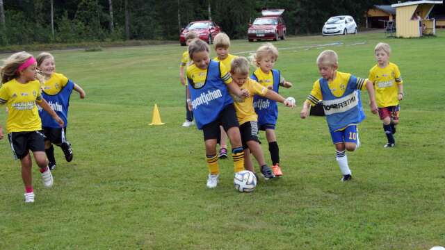 Barn och ungdomar i Dalsland får börja spela träningsmatcher igen, men inte i Mellerud.