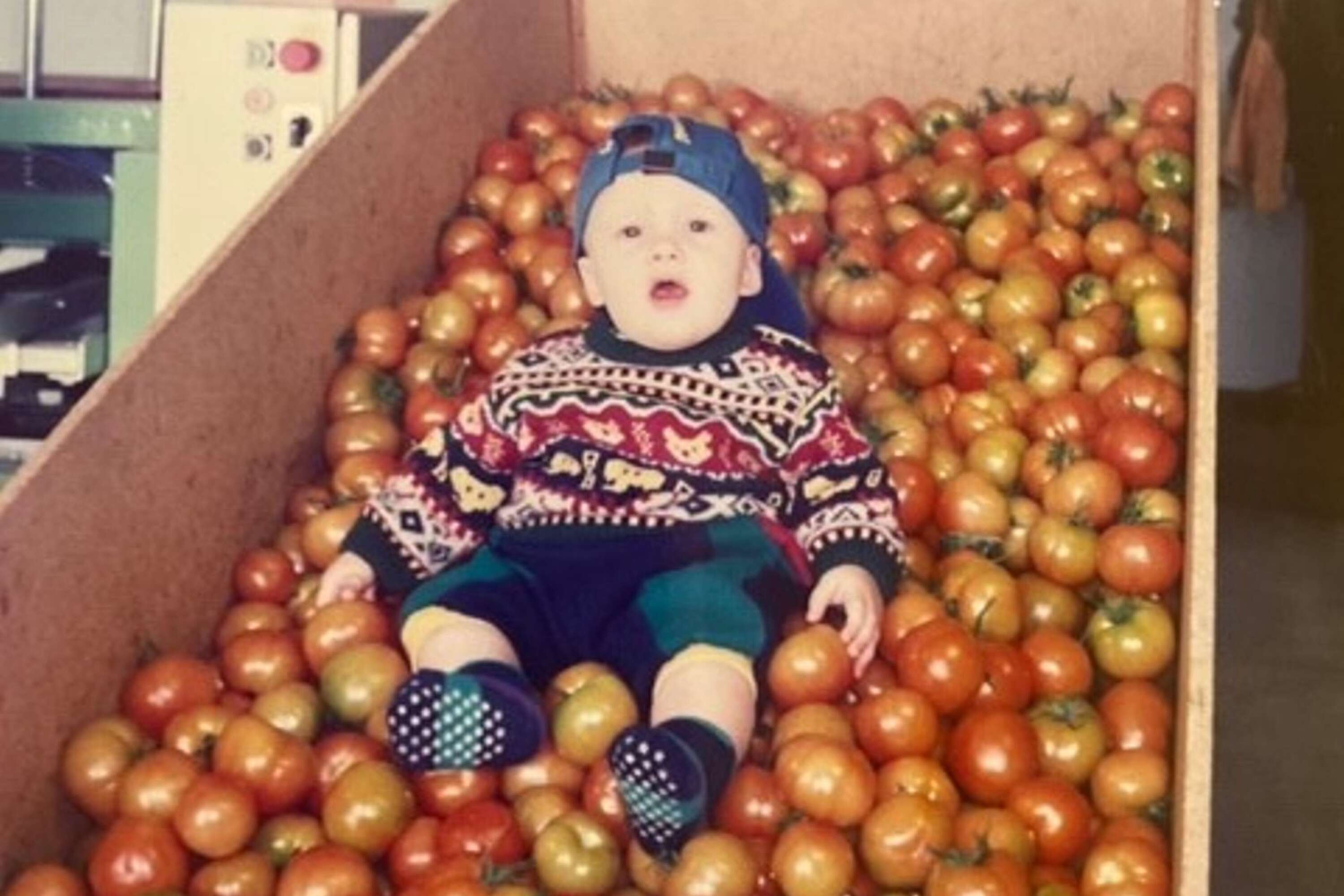 Lindgårdens tomatodling grundades 1988 – fem år innan Jacob kom till världen.