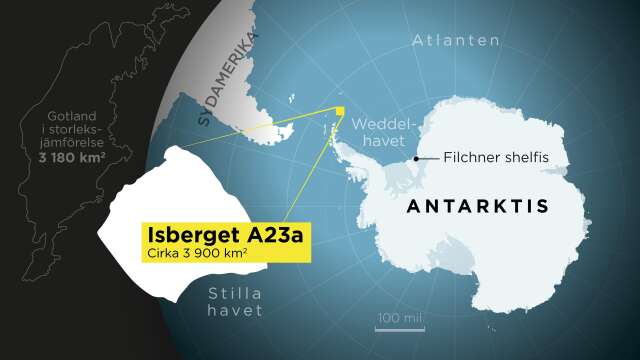 Världens största isberg är på drift från Antarktis.