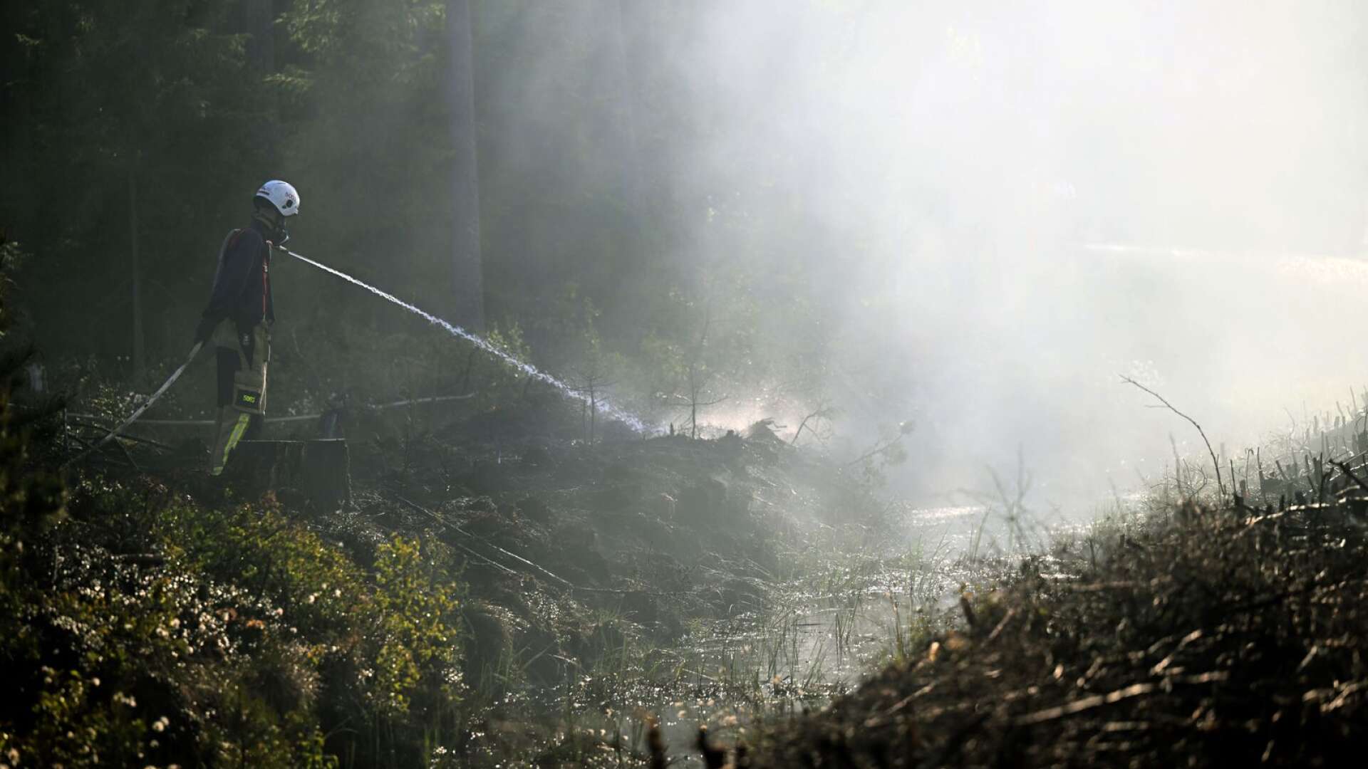 SMHI varnar för ”extremt stor” risk för skogsbränder.